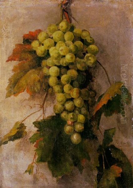 Bodegon Con Racimo De Uvas - view 1