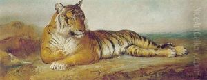 The Tiger