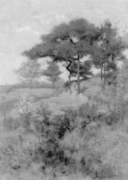 Paysage En Ete - view 1