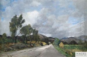 Landstrase In Sommerlicher Vorgebirgslandschaft