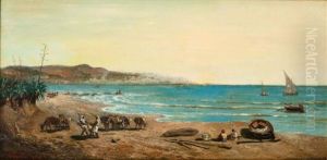 La Baie D'alger Vue Du Jardin D'essai