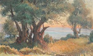 Les Grands Arbres, Bord De Mer Soleil Couchant Les Grands Arbres, Bord De Mer Soleil Couchant
