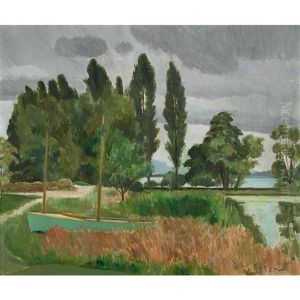 Uferlandschaft Mit Pappeln