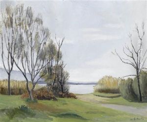 Ufer Am Genfersee