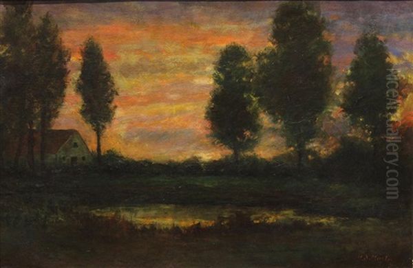 Sunset Through The Trees - view 1
