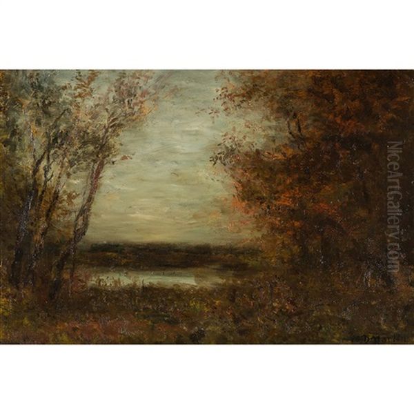 A Clearing In A Thickly Wooded Forest - view 1