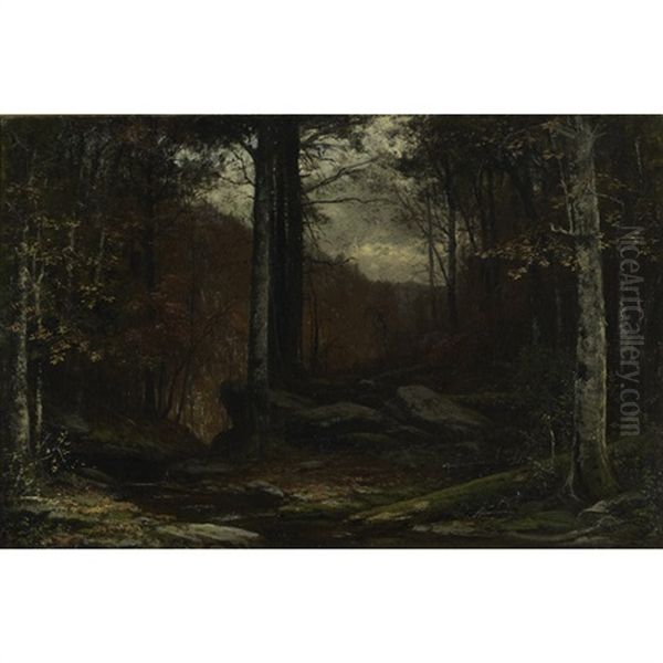 An Adirondack Forest Glade - view 1
