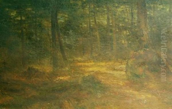 Forest Interior In Autumn - view 1