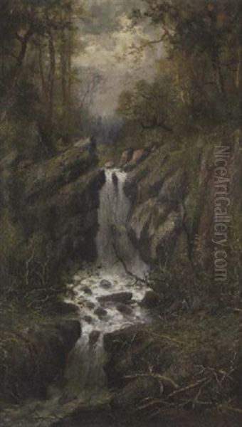 A Waterfall In A Wooded Landscape - view 1