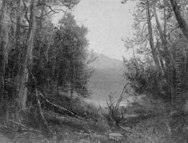 The Adirondacks - view 1