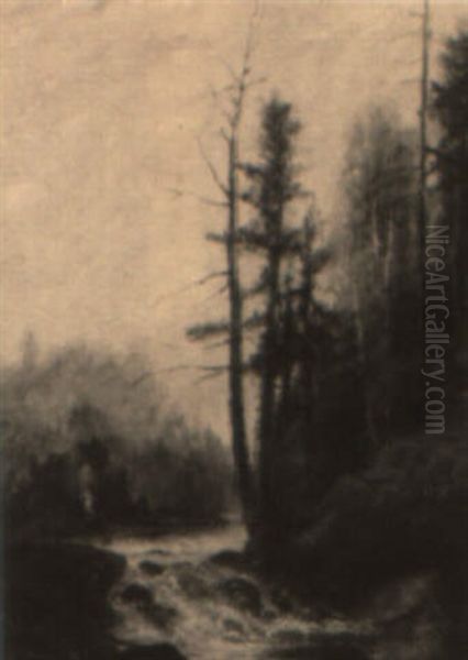 Landscape - view 1