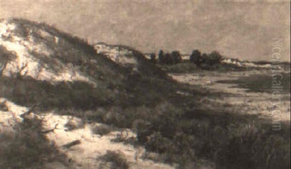 Fire Island - view 1