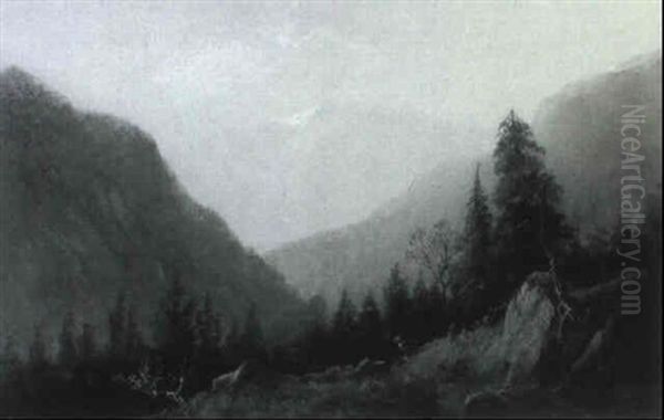 Deer In A Mountain Landscape - view 1