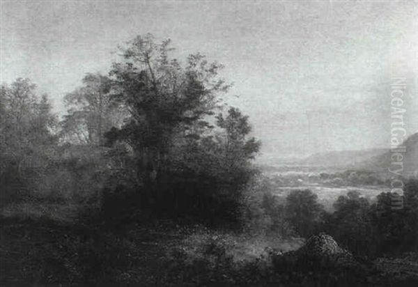Country Landscape With A Valley In The Distance - view 1