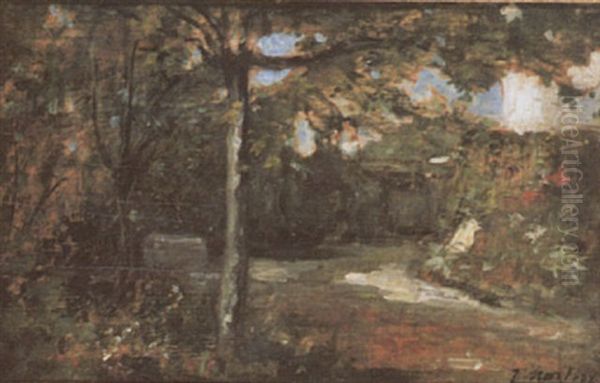 Paysage - view 1