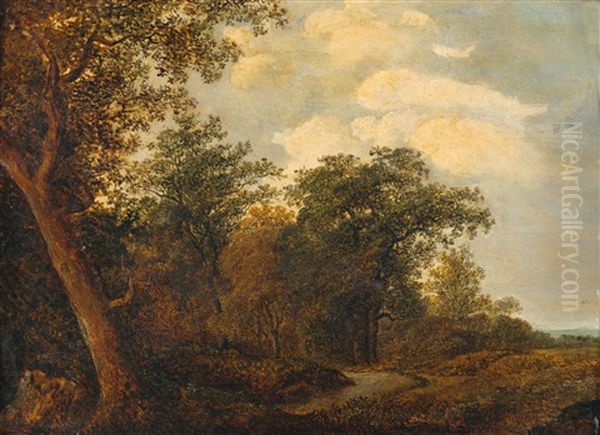 Waldlandschaft - view 1
