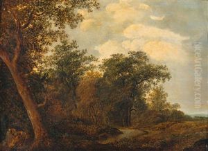 Waldlandschaft Waldlandschaft