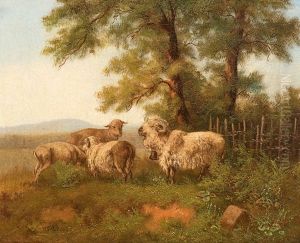 Schafe Auf Der Weide by Martin Martin