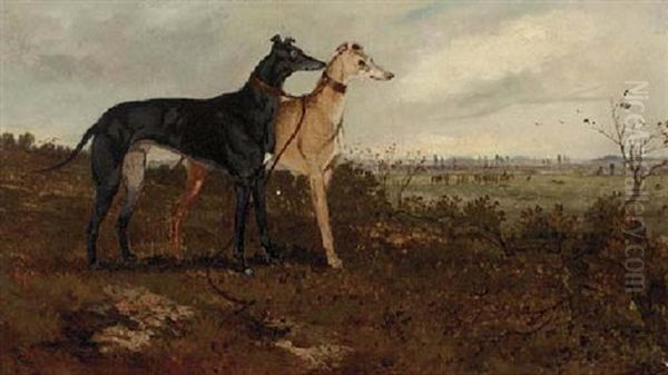 Coursing - view 1