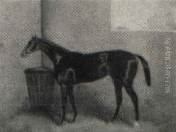 Racing Horse In A Stable - view 1