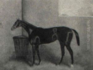 Racing Horse In A Stable Racing Horse In A Stable