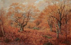 Untitled - Forest In Autumn Untitled - Forest In Autumn