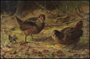 Woodcock In The Forest by Thomas Mower Martin
