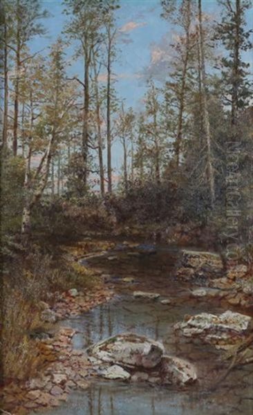 Forest And Rocky Creek - view 1