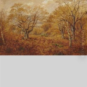 Autumn Splendor