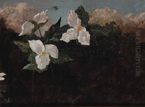 Untitled - Trilliums - view 1