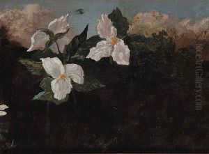 Untitled - Trilliums by Thomas Mower Martin