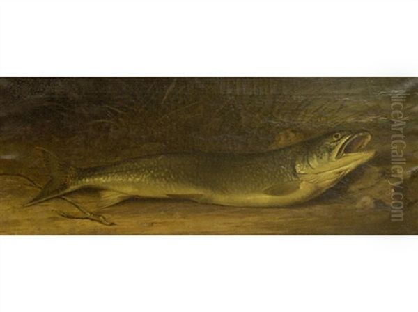 Untitled - Trout - view 1