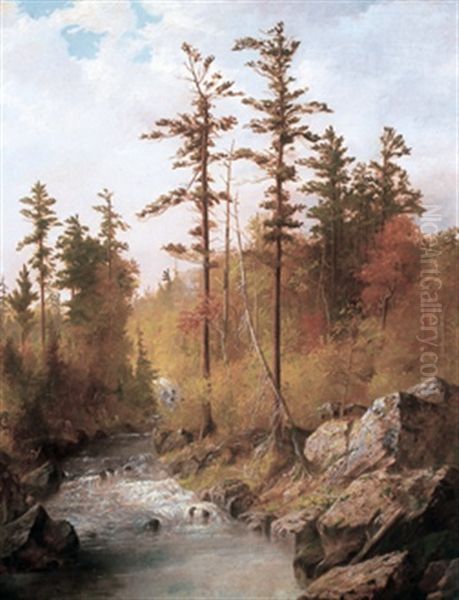 Rocky Stream At The Forest's Edge - view 1