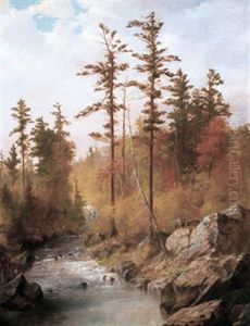 Rocky Stream At The Forest's Edge