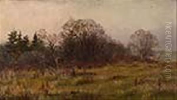 Edge Of The Woods - view 1