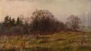 Edge Of The Woods Edge Of The Woods