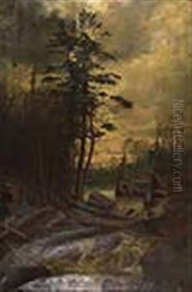 Forest Stream - view 1