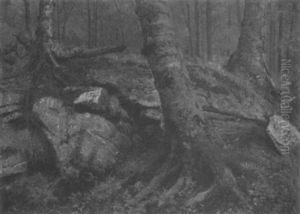 Forest Interior