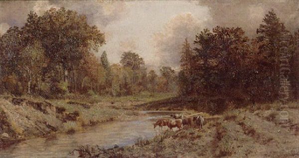 Cattle Drinking From A Stream - view 1
