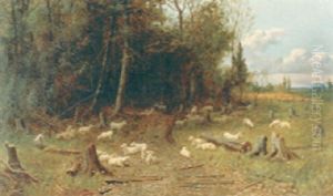 Flock Of Sheep By Forest Edge