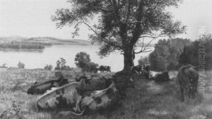 Cattle Reposing, Lake Memphremagog Cattle Reposing, Lake Memphremagog