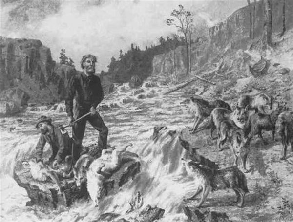 The Survival Of The Fittest, A Portage Incident - view 1