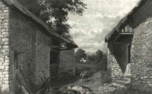 Barnyard