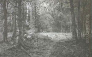 View Of The Pathway Through The Forest View Of The Pathway Through The Forest