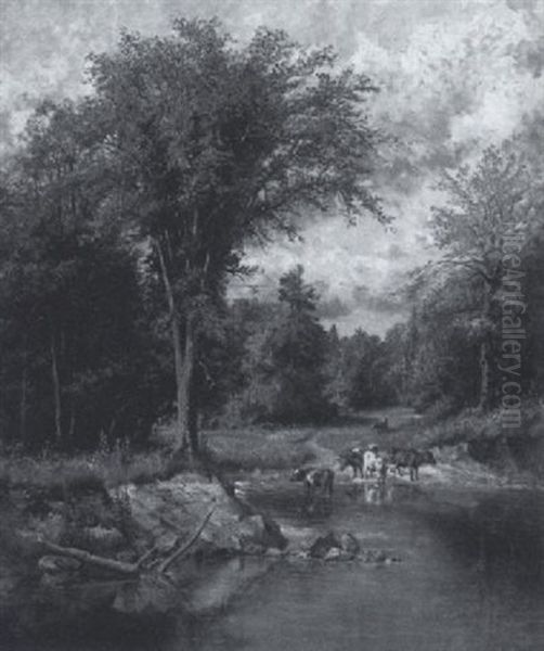 Cattle Watering In A Stream - view 1