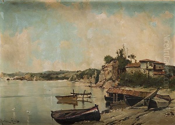 Barcas En La Costa - view 1