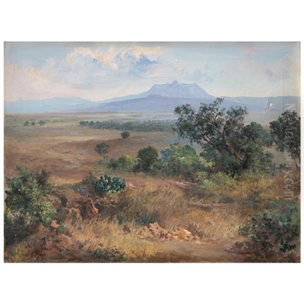 Sin Titulo - view 1