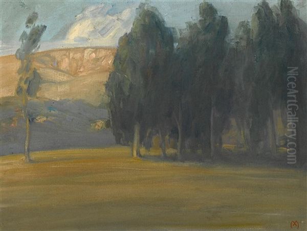 A Stand Of Trees - view 1