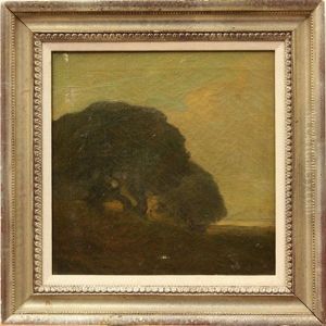 Lone Tree Lone Tree