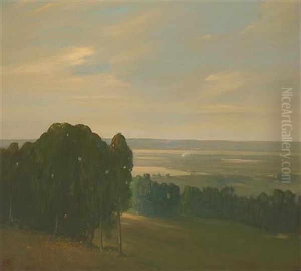 Eucalyptus Grove In A Vast Landscape - view 1
